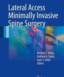 Lateral Access Minimally Invasive Spine Surgery 2017