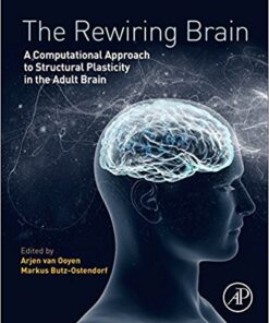 The Rewiring Brain: A Computational Approach to Structural Plasticity in the Adult Brain 1st Edition PDF