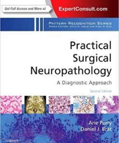 Practical Surgical Neuropathology: A Diagnostic Approach: A Volume in the Pattern Recognition Series, 2e 2nd Edition PDF