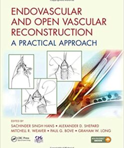 Endovascular and Open Vascular Reconstruction: A Practical Approach 1st Edition PDF