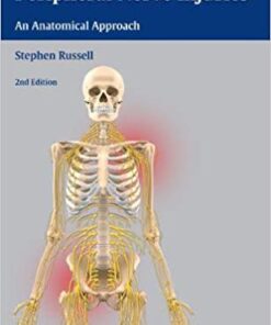 Examination of Peripheral Nerve Injuries: An Anatomical Approach