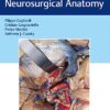 Operative Cranial Neurosurgical Anatomy 1st Edition PDF