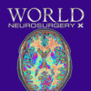 World Neurosurgery: X 2022 Volumes 13-16 PDF