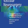 Pediatric Vascular Neurosurgery: Technical Nuances in Contemporary Pediatric Neurosurgery (Part 2) 1st ed. 2021 Edition PDF Original