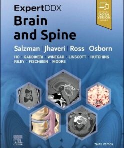 Brain and Spine