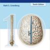 greenberg handbook of neurosurgery 10th edition pdf