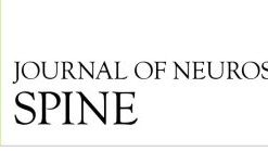 Journal of Neurosurgery